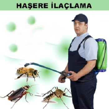İskenderun Böcek İlaçlama